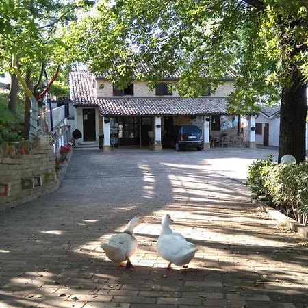 Tania House Apartment *